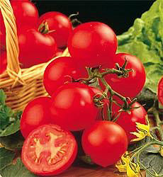 Product showcase image from staged upload