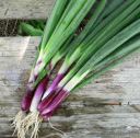 Bieslook Red Ninja