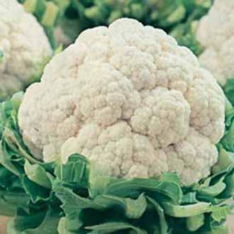 Product showcase image from staged upload