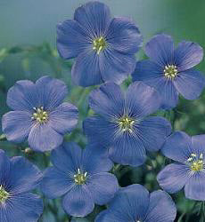 Product showcase image from staged upload