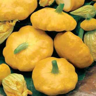 Product showcase image from staged upload