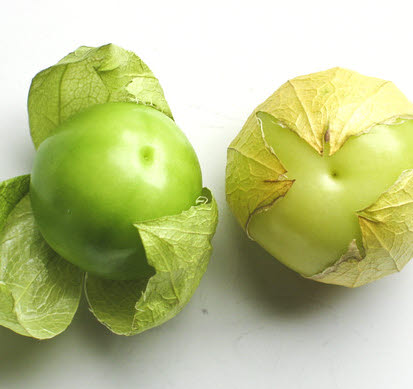 Tomatillo of Mexicaanse Aardkers
