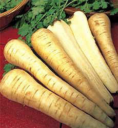 Pastinaken Tender and True_Organic