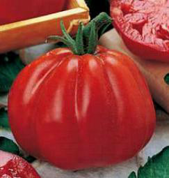Tomaten vleestomaat Coeur de Boeuf