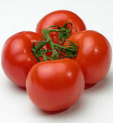 Tomaten T Matina