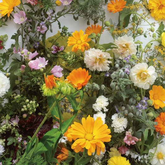 Salatmischung aus essbaren Blüten und Kräutern