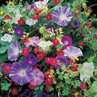 Product showcase image from staged upload