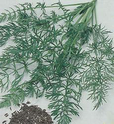 Product showcase image from staged upload