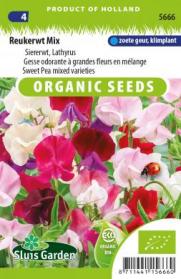 Lathyrus odoratus BIO