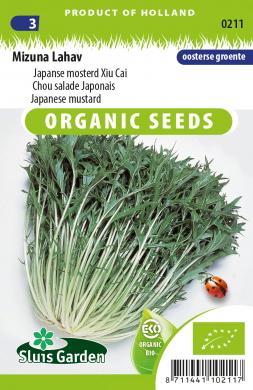 Product showcase image from staged upload