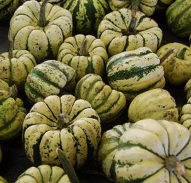 Pompoen mini Sweet Dumpling