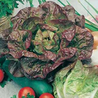 Product showcase image from staged upload